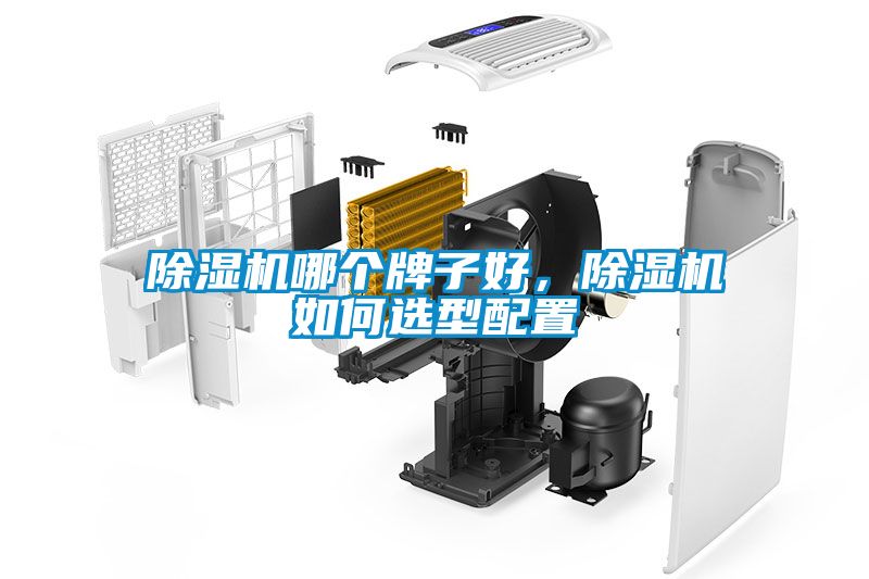 除濕機哪個牌子好，除濕機如何選型配置