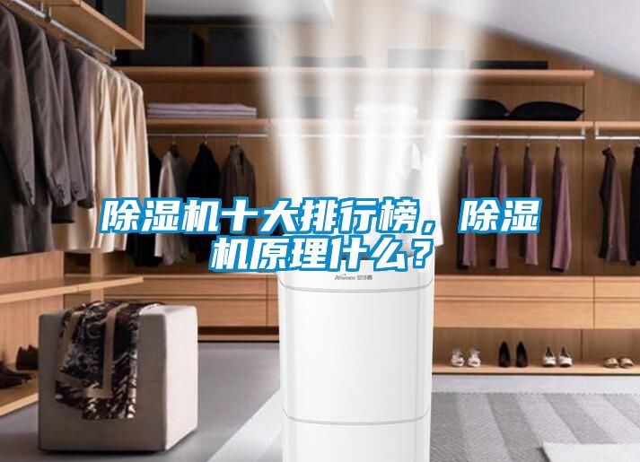 除濕機十大排行榜，除濕機原理什么？