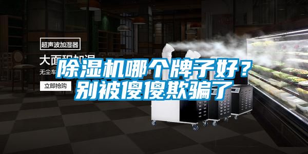 除濕機哪個牌子好？別被傻傻欺騙了
