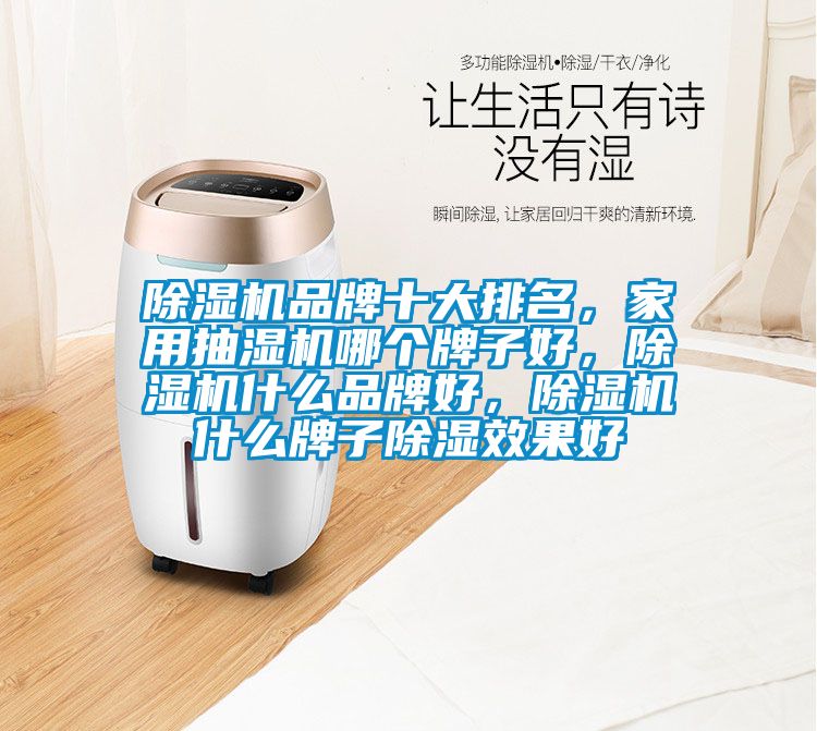 除濕機(jī)品牌十大排名，家用抽濕機(jī)哪個(gè)牌子好，除濕機(jī)什么品牌好，除濕機(jī)什么牌子除濕效果好
