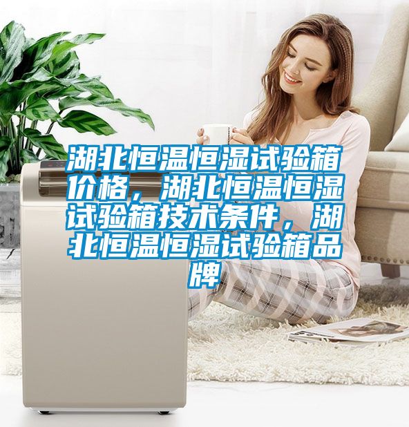 湖北恒溫恒濕試驗箱價格，湖北恒溫恒濕試驗箱技術條件，湖北恒溫恒濕試驗箱品牌