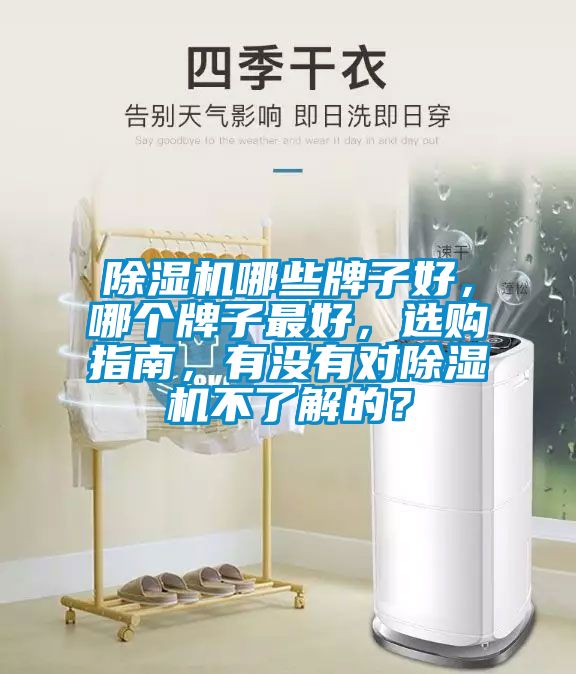除濕機(jī)哪些牌子好，哪個(gè)牌子最好，選購(gòu)指南，有沒(méi)有對(duì)除濕機(jī)不了解的？