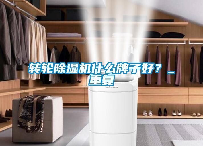 轉(zhuǎn)輪除濕機什么牌子好？_重復