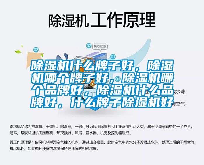除濕機什么牌子好，除濕機哪個牌子好，除濕機哪個品牌好，除濕機什么品牌好，什么牌子除濕機好