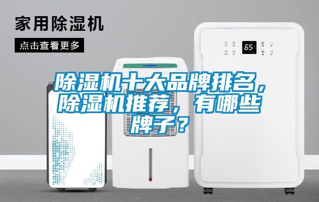除濕機十大品牌排名，除濕機推薦，有哪些牌子？