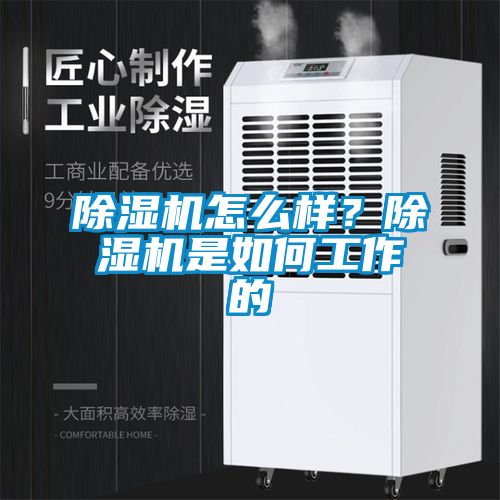 除濕機怎么樣？除濕機是如何工作的