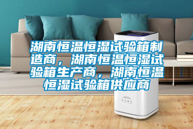 湖南恒溫恒濕試驗箱制造商，湖南恒溫恒濕試驗箱生產(chǎn)商，湖南恒溫恒濕試驗箱供應商