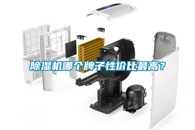 除濕機(jī)哪個牌子性價(jià)比最高？