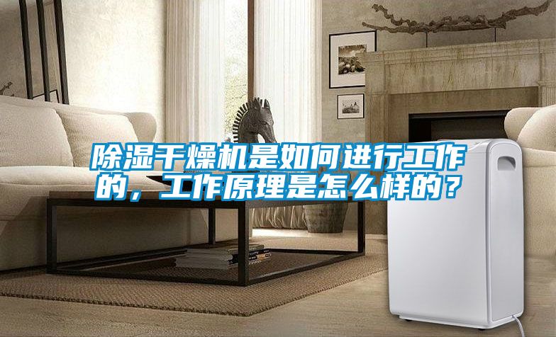 除濕干燥機是如何進行工作的，工作原理是怎么樣的？