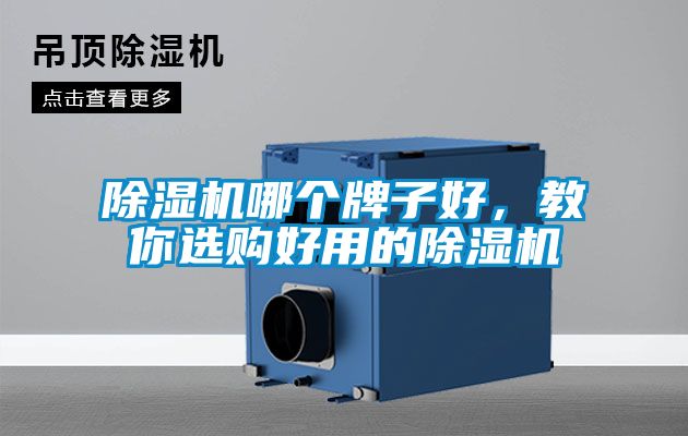 除濕機哪個牌子好，教你選購好用的除濕機