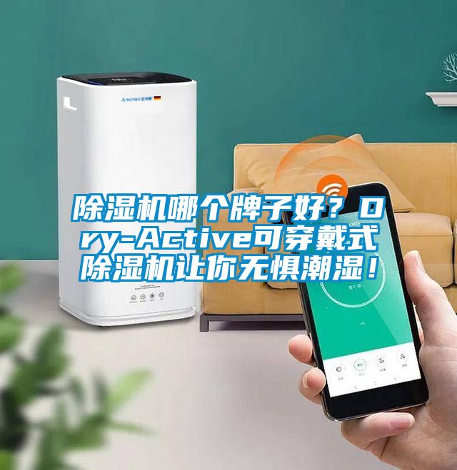 除濕機哪個牌子好？Dry-Active可穿戴式除濕機讓你無懼潮濕！