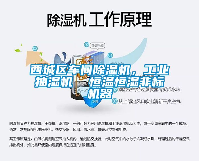 西城區(qū)車間除濕機，工業(yè)抽濕機  恒溫恒濕非標(biāo)機器