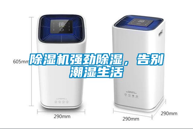 除濕機強勁除濕，告別潮濕生活