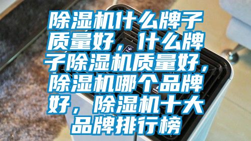除濕機什么牌子質(zhì)量好，什么牌子除濕機質(zhì)量好，除濕機哪個品牌好，除濕機十大品牌排行榜