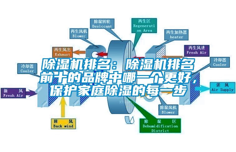 除濕機(jī)排名：除濕機(jī)排名前十的品牌中哪一個(gè)更好，保護(hù)家庭除濕的每一步