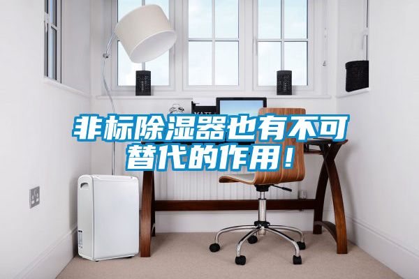 非標(biāo)除濕器也有不可替代的作用！