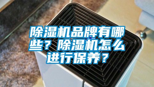 除濕機(jī)品牌有哪些？除濕機(jī)怎么進(jìn)行保養(yǎng)？