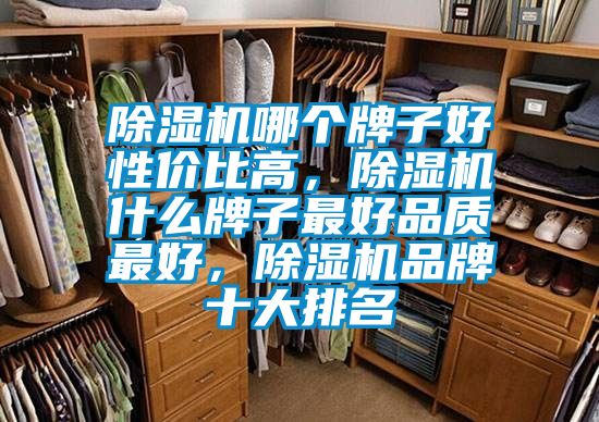 除濕機哪個牌子好性價比高，除濕機什么牌子最好品質最好，除濕機品牌十大排名