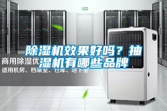 除濕機(jī)效果好嗎？抽濕機(jī)有哪些品牌