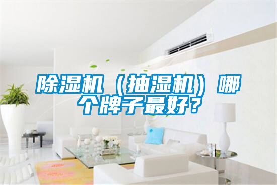 除濕機(jī)（抽濕機(jī)）哪個(gè)牌子最好？