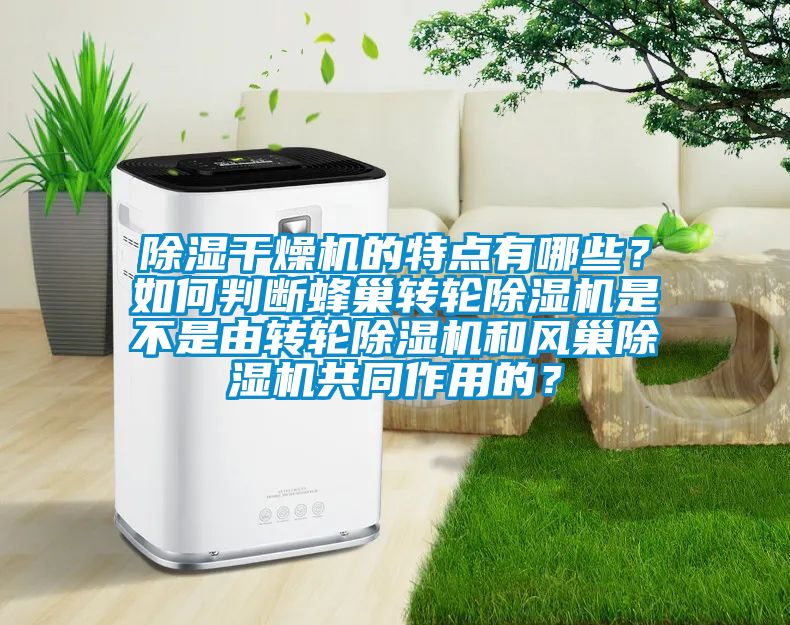 除濕干燥機的特點有哪些？如何判斷蜂巢轉輪除濕機是不是由轉輪除濕機和風巢除濕機共同作用的？