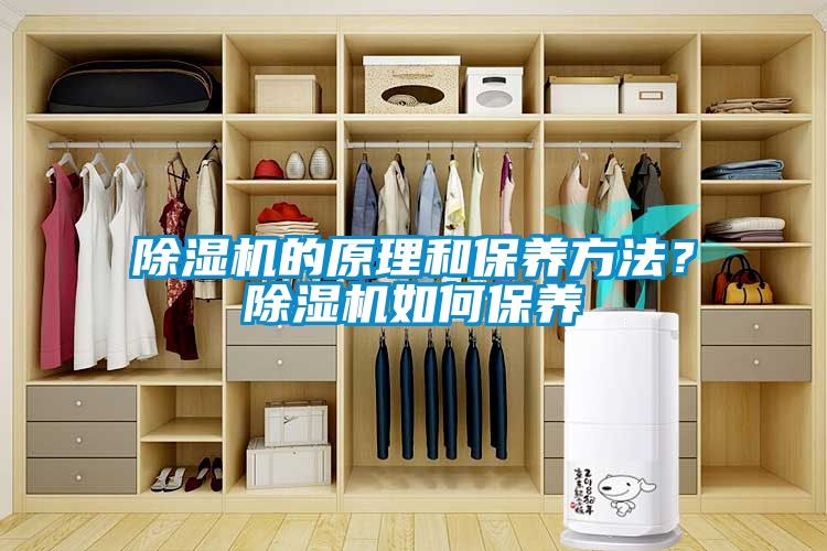 除濕機的原理和保養(yǎng)方法？除濕機如何保養(yǎng)