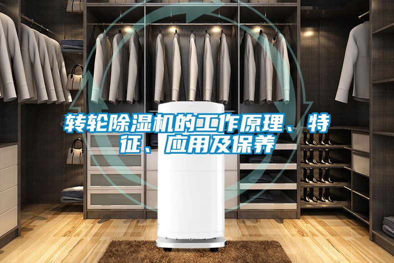 轉輪除濕機的工作原理、特征、應用及保養(yǎng)