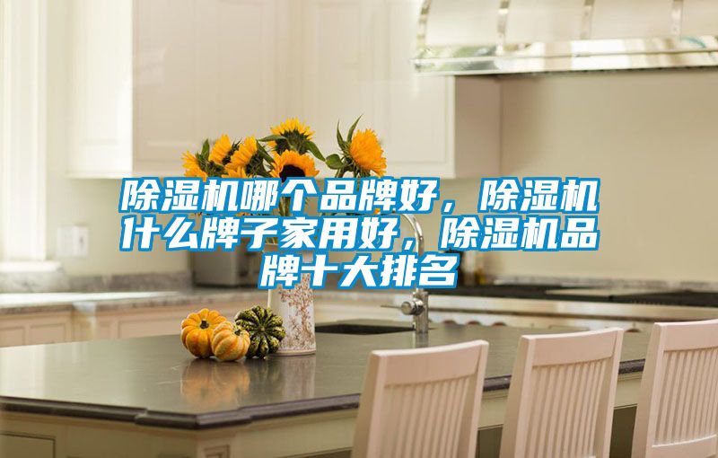 除濕機(jī)哪個(gè)品牌好，除濕機(jī)什么牌子家用好，除濕機(jī)品牌十大排名