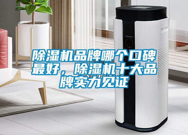 除濕機品牌哪個口碑最好，除濕機十大品牌實力見證