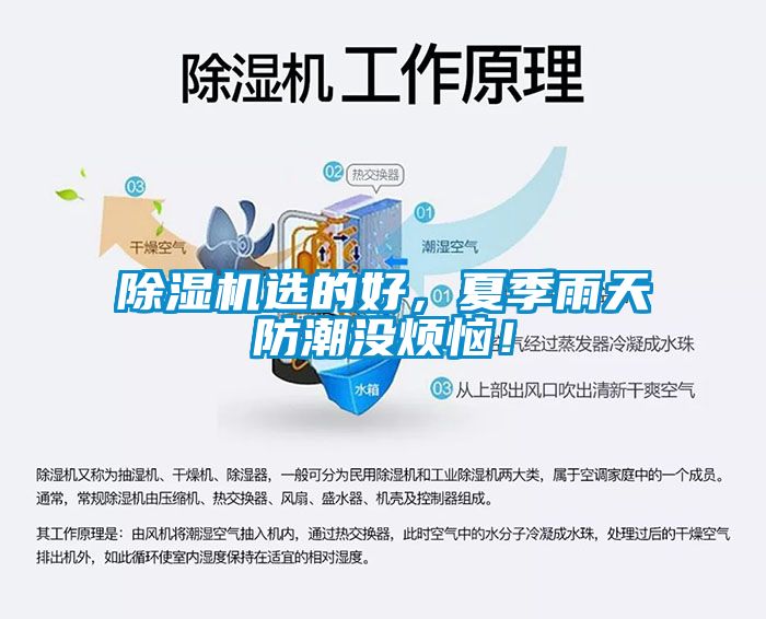 除濕機(jī)選的好，夏季雨天防潮沒煩惱！