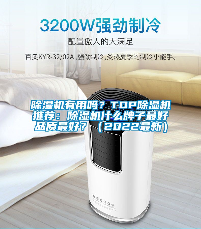 除濕機有用嗎？TOP除濕機推薦：除濕機什么牌子最好品質(zhì)最好？（2022最新）