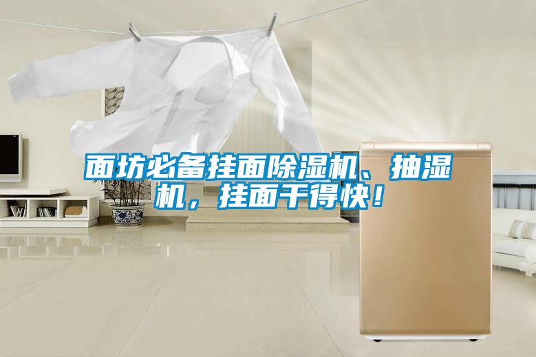 面坊必備掛面除濕機、抽濕機，掛面干得快！