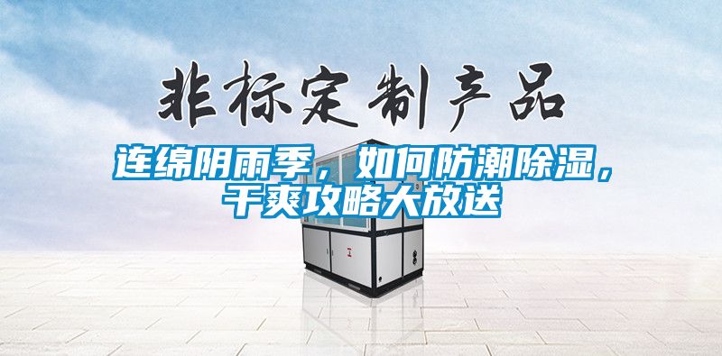 連綿陰雨季，如何防潮除濕，干爽攻略大放送
