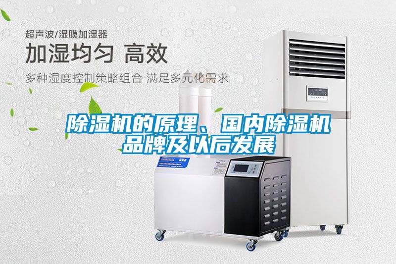 除濕機的原理、國內(nèi)除濕機品牌及以后發(fā)展