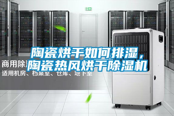 陶瓷烘干如何排濕，陶瓷熱風(fēng)烘干除濕機(jī)