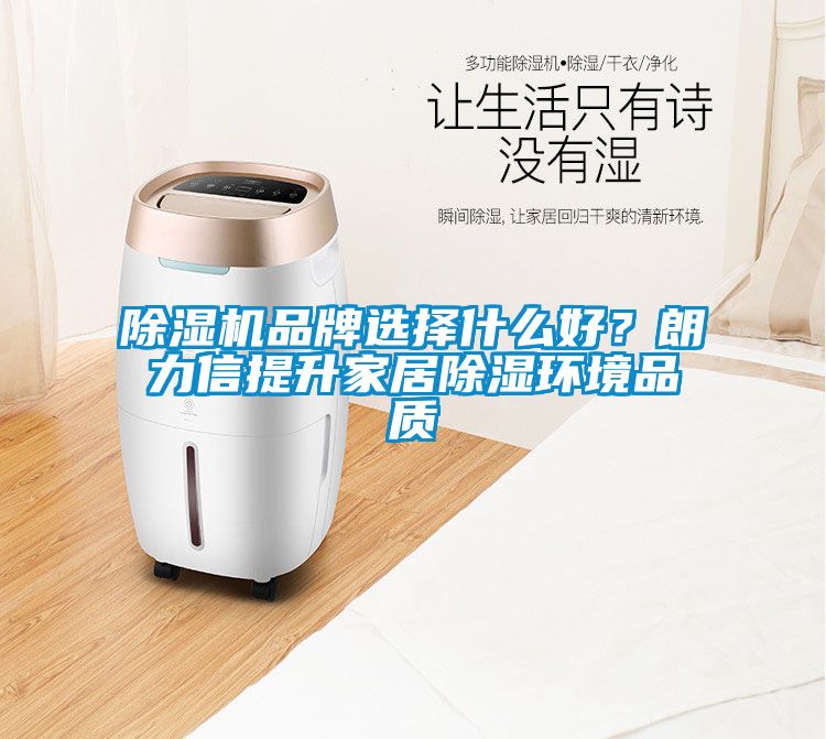 除濕機品牌選擇什么好？朗力信提升家居除濕環(huán)境品質