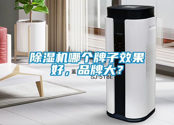 除濕機(jī)哪個(gè)牌子效果好，品牌大？
