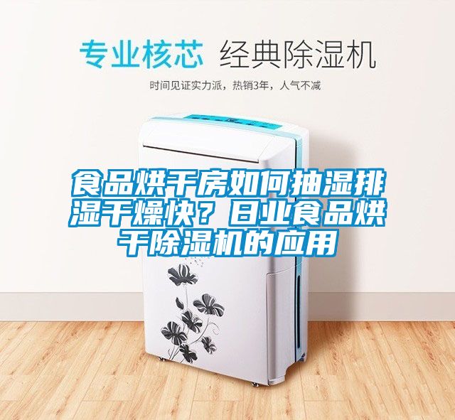 食品烘干房如何抽濕排濕干燥快？日業(yè)食品烘干除濕機(jī)的應(yīng)用