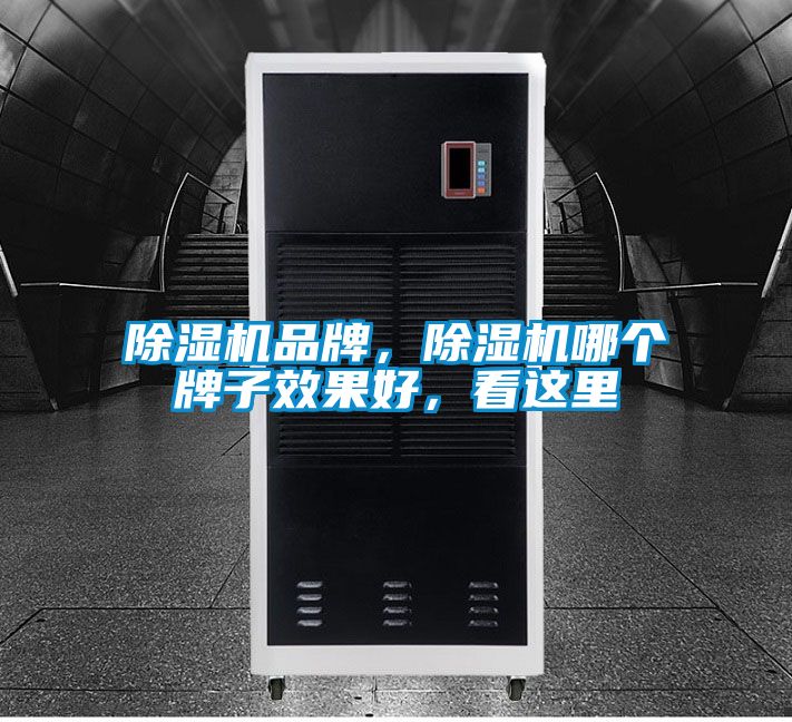除濕機品牌，除濕機哪個牌子效果好，看這里