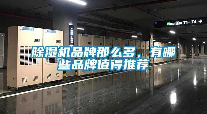 除濕機品牌那么多，有哪些品牌值得推薦