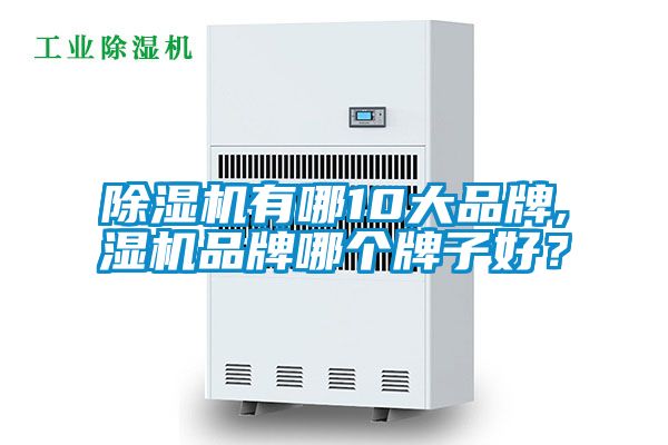 除濕機(jī)有哪10大品牌,濕機(jī)品牌哪個(gè)牌子好？