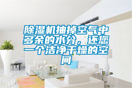 除濕機(jī)抽掉空氣中多余的水分，還您一個(gè)潔凈干燥的空間