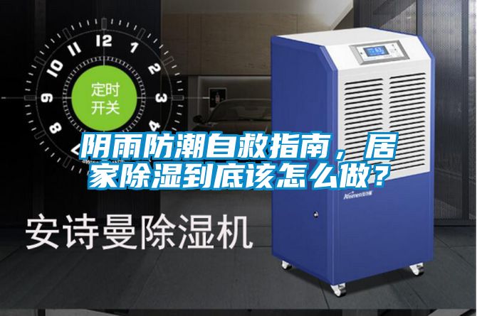 陰雨防潮自救指南，居家除濕到底該怎么做？