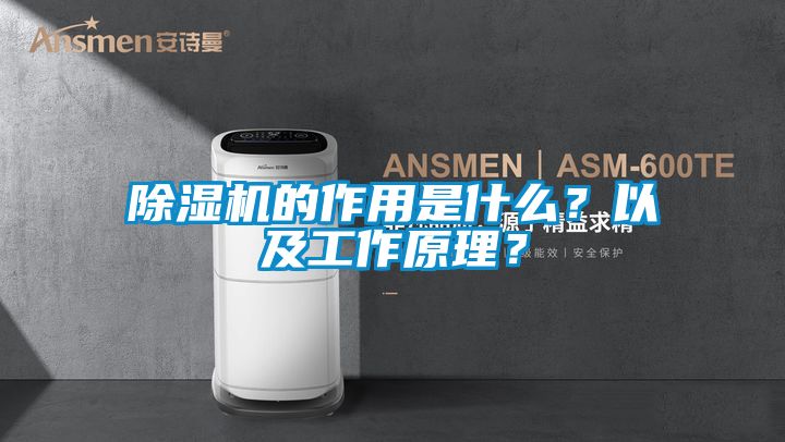 除濕機(jī)的作用是什么？以及工作原理？