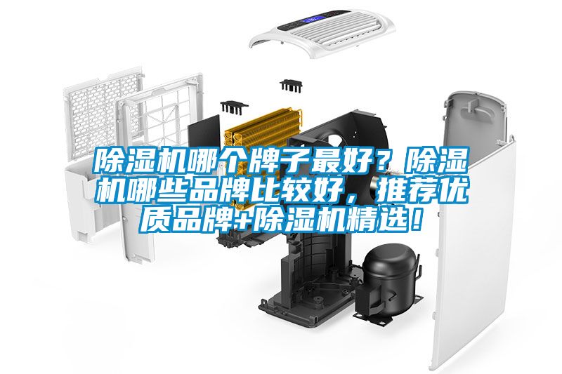 除濕機(jī)哪個(gè)牌子最好？除濕機(jī)哪些品牌比較好，推薦優(yōu)質(zhì)品牌+除濕機(jī)精選！