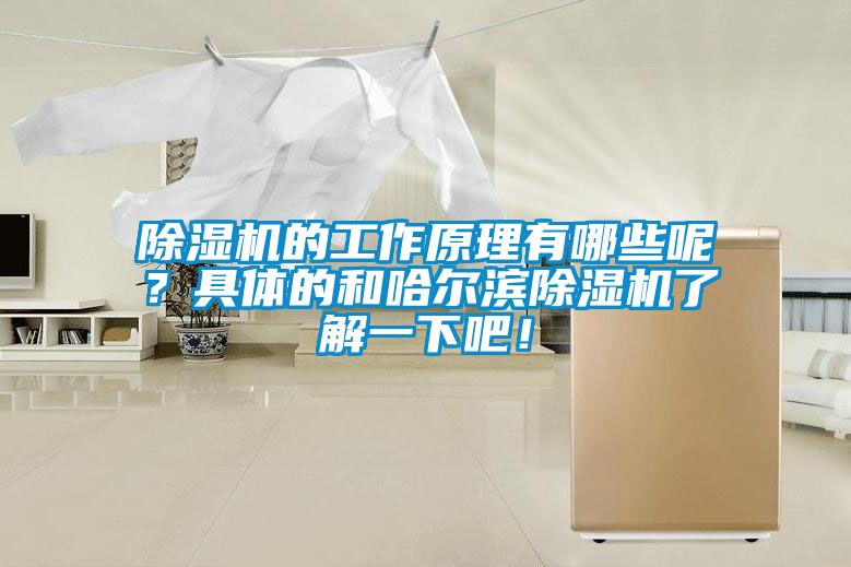 除濕機(jī)的工作原理有哪些呢？具體的和哈爾濱除濕機(jī)了解一下吧！