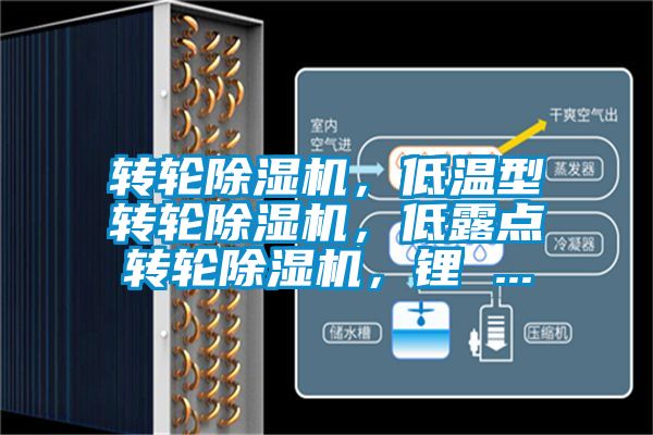 轉(zhuǎn)輪除濕機(jī)，低溫型轉(zhuǎn)輪除濕機(jī)，低露點(diǎn)轉(zhuǎn)輪除濕機(jī)，鋰 ...