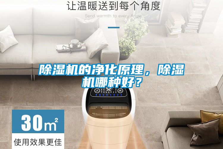 除濕機的凈化原理，除濕機哪種好？