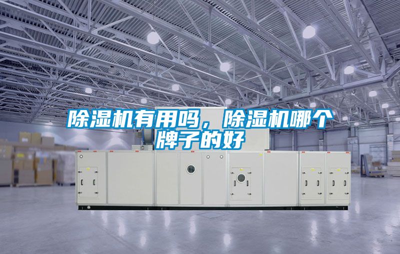 除濕機(jī)有用嗎，除濕機(jī)哪個牌子的好