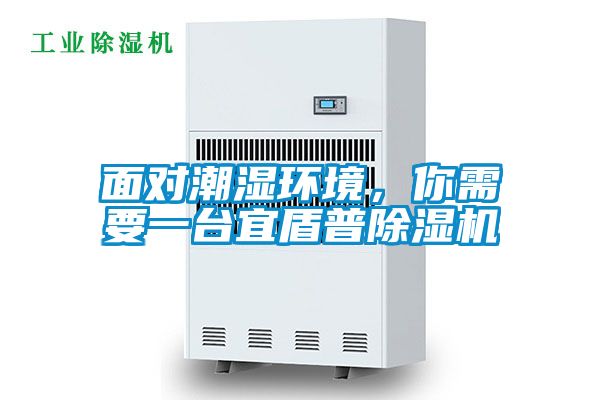 面對潮濕環(huán)境，你需要一臺宜盾普除濕機